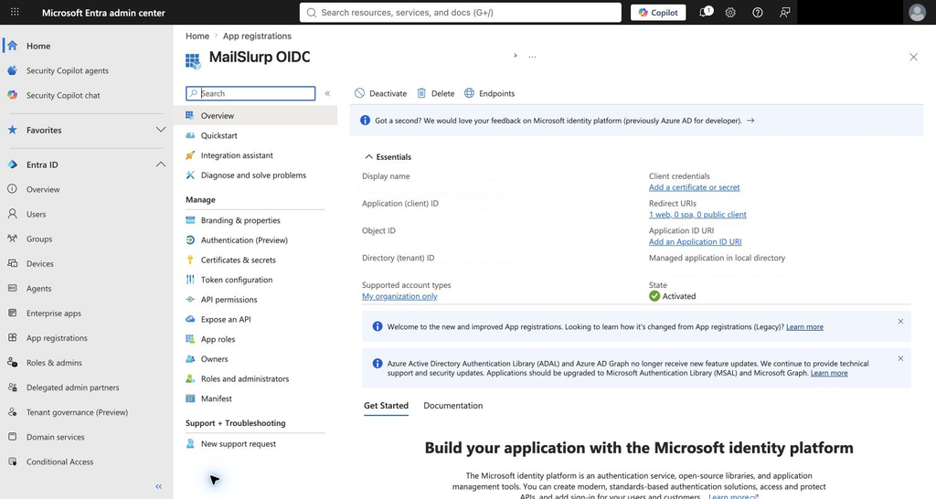 Entra application overview showing app and tenant identifiers