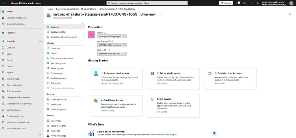 Example Entra application created