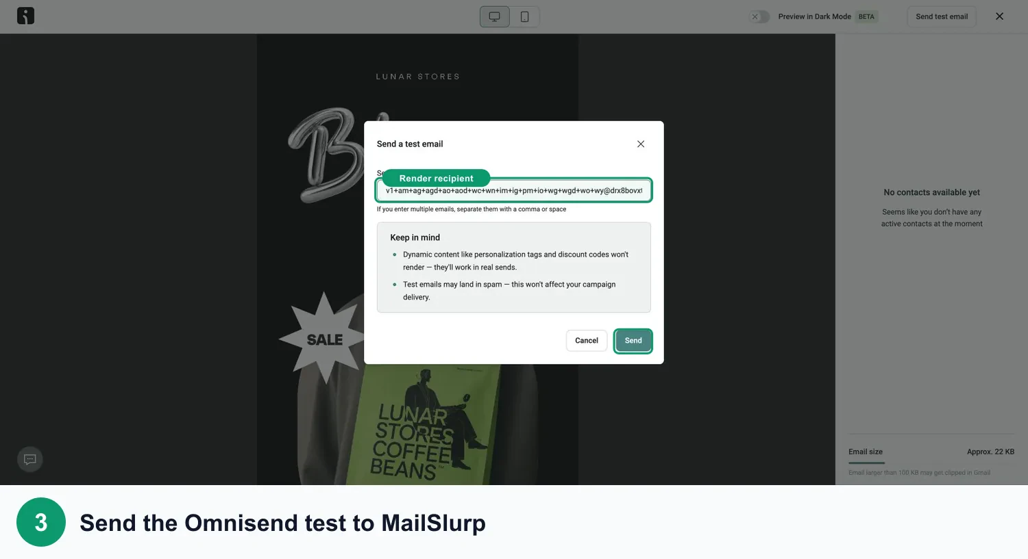 Omnisend test campaign sent to the MailSlurp render recipient