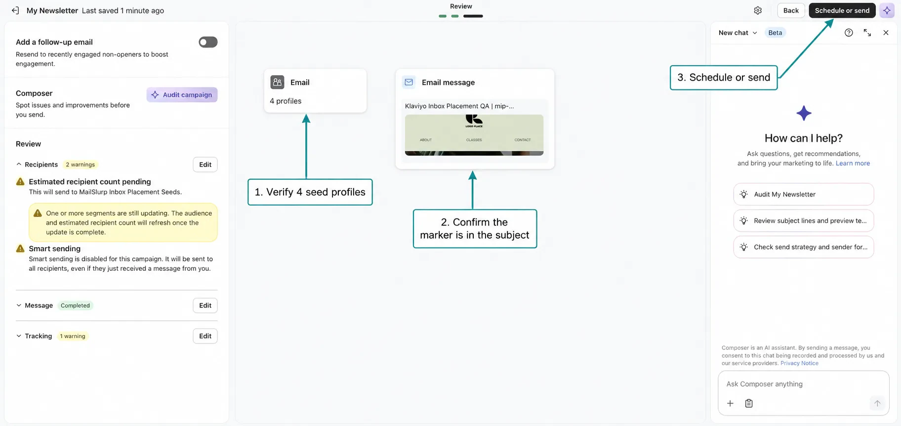 Klaviyo campaign sent to the controlled MailSlurp seed audience
